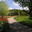 FVCW (27)-Weicht-Ulrich